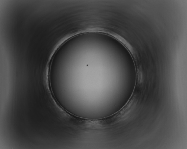 X0000100771006200806191237