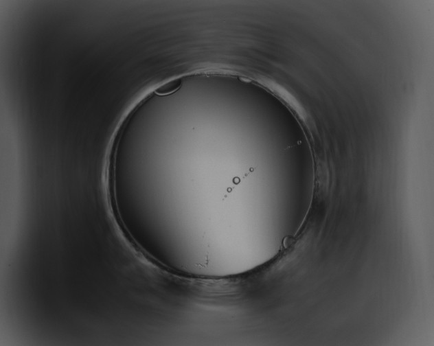 X0000100771007200806191237