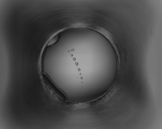 X0000100771008200806191237
