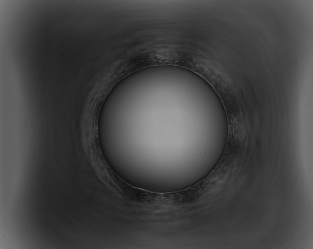X0000100771009200806191236