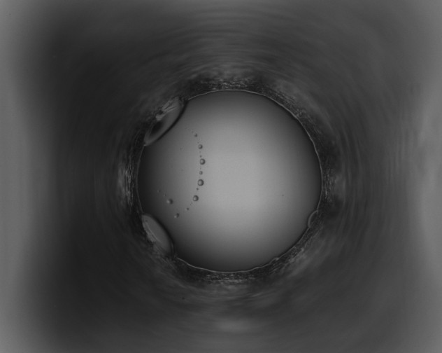 X0000100771010200806191236