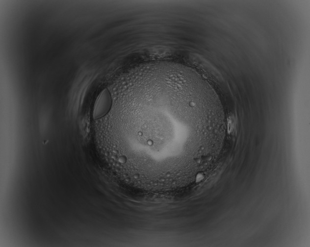 X0000100771011200806191236