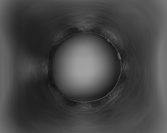 X0000100771012200806191236