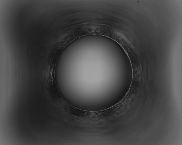 X0000100771013200806191237