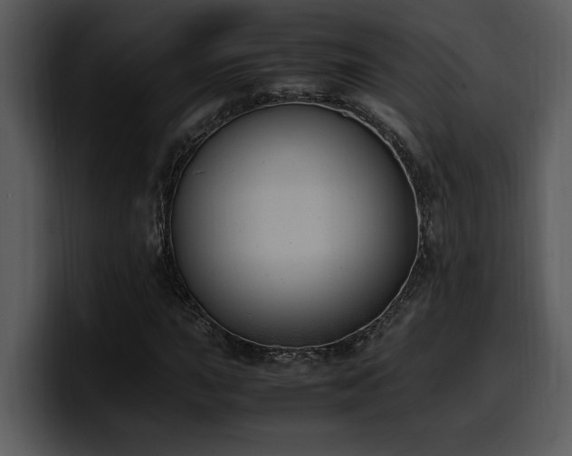 X0000100771015200806191237