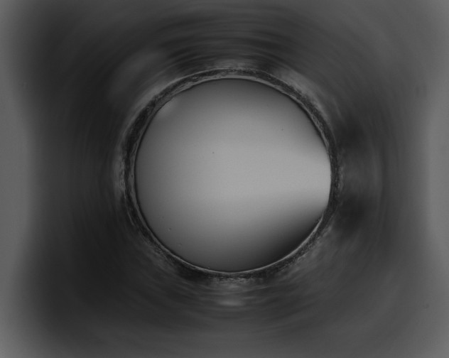 X0000100771019200806191237