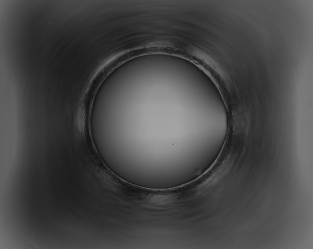 X0000100771021200806191237