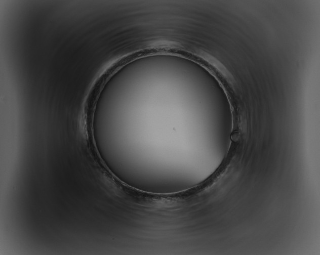 X0000100771022200806191237