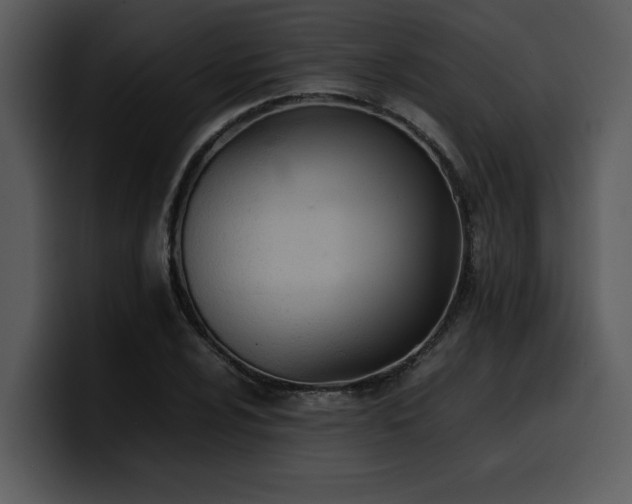 X0000100771024200806191237