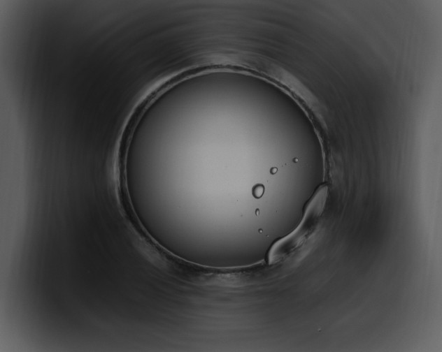 X0000100771028200806191237