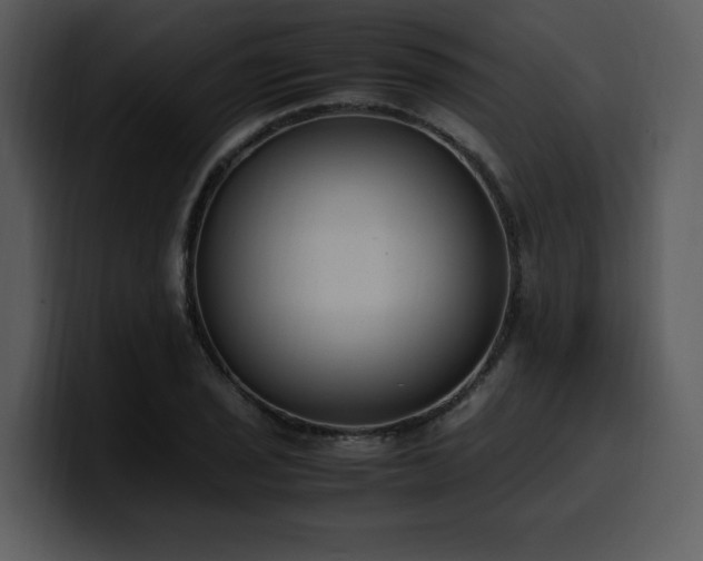 X0000100771029200806191237