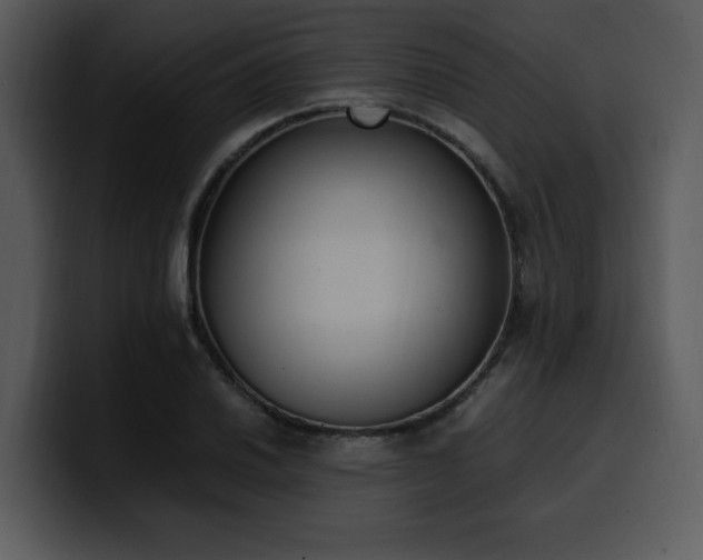 X0000100771030200806191237