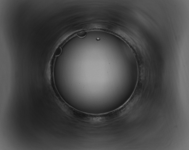 X0000100771031200806191237