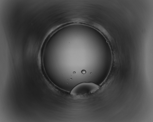 X0000100771032200806191237