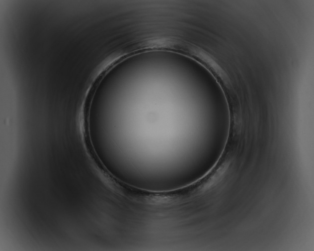 X0000100771034200806191237