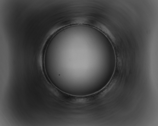 X0000100771035200806191237