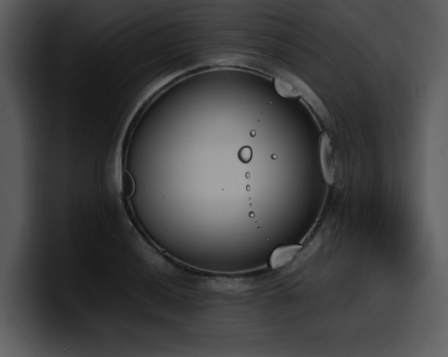 X0000100771036200806191237