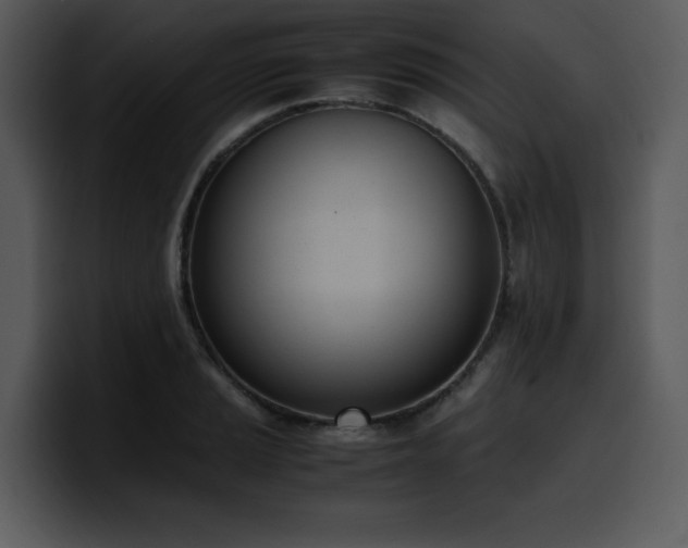 X0000100771037200806191237