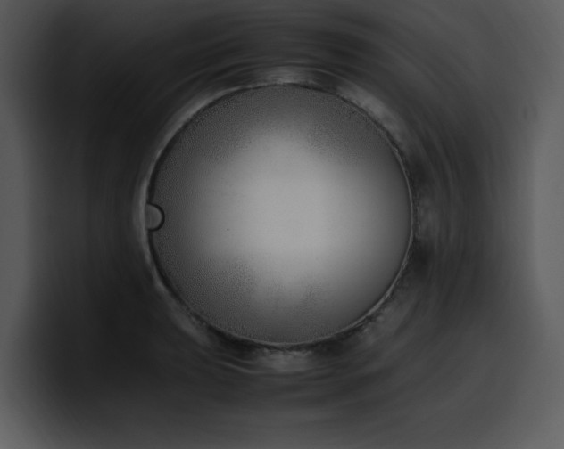 X0000100771039200806191237