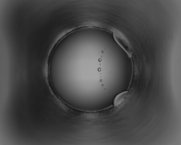 X0000100771040200806191237