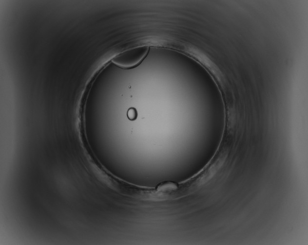 X0000100771042200806191237