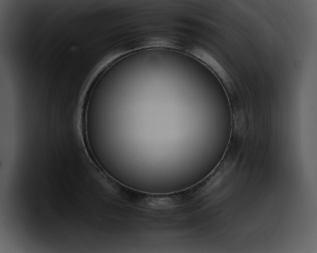 X0000100771043200806191237