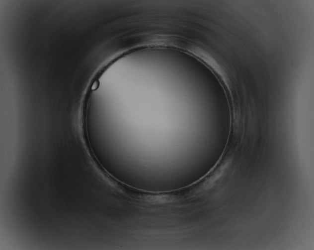 X0000100771045200806191237
