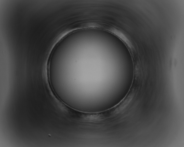 X0000100771047200806191237