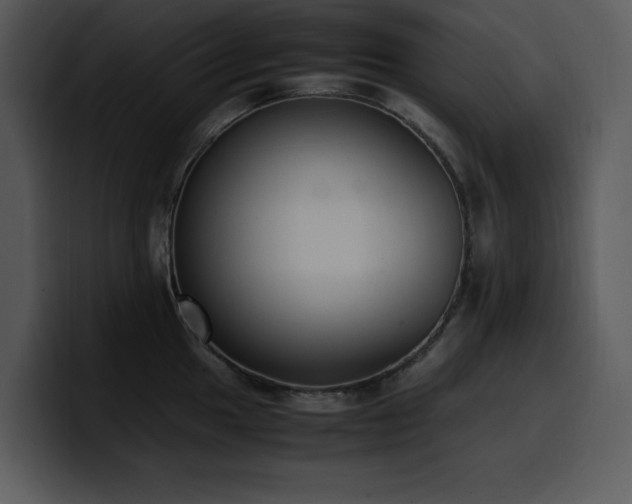 X0000100771049200806191237