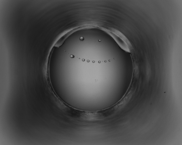 X0000100771052200806191237