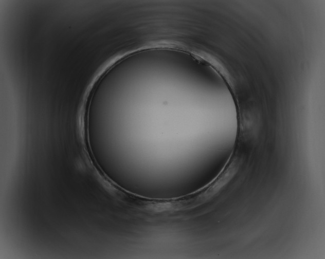 X0000100771054200806191237