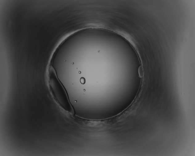 X0000100771056200806191237