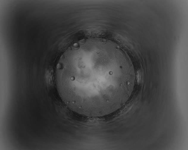 X0000100771059200806191236