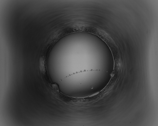 X0000100771060200806191236