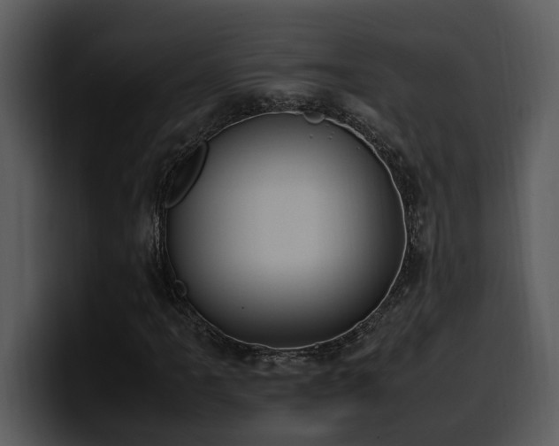 X0000100771061200806191236