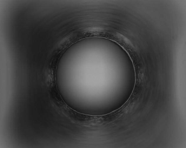 X0000100771062200806191236