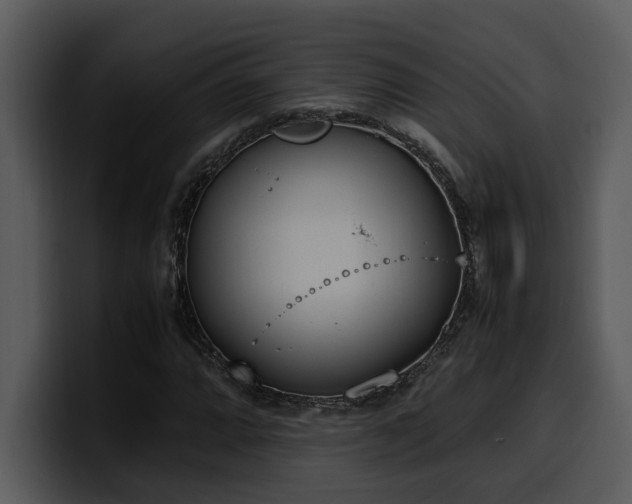 X0000100771064200806191236