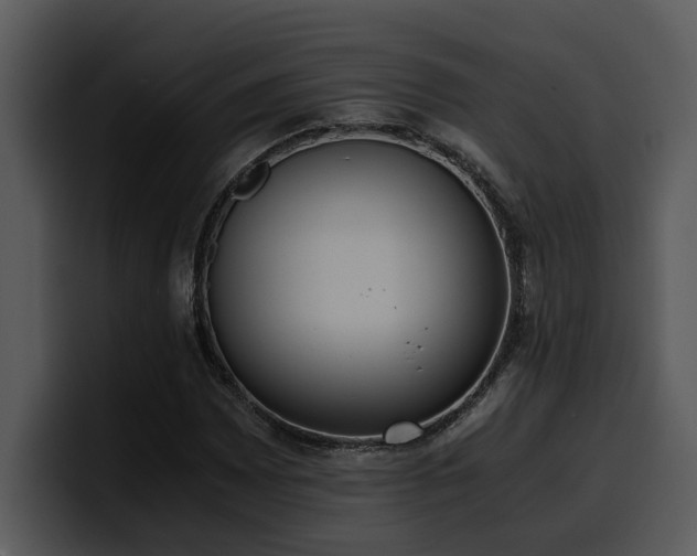 X0000100771065200806191236