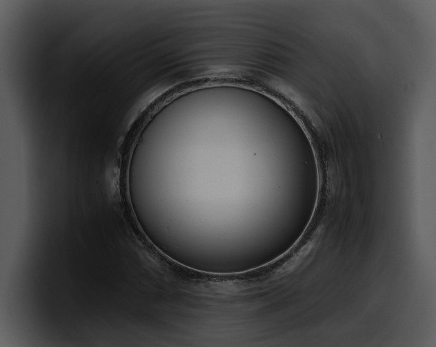 X0000100771066200806191236