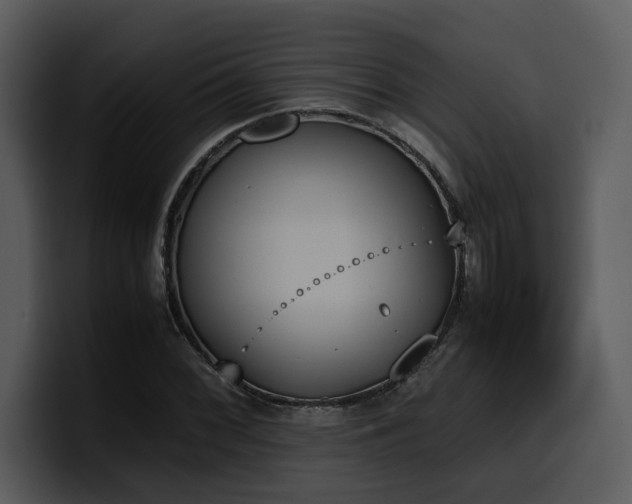 X0000100771068200806191236