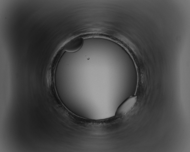X0000100771069200806191236