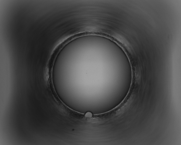 X0000100771070200806191236