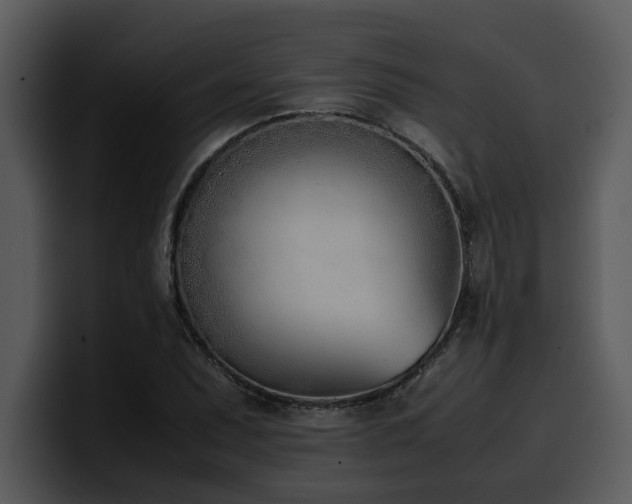 X0000100771071200806191236