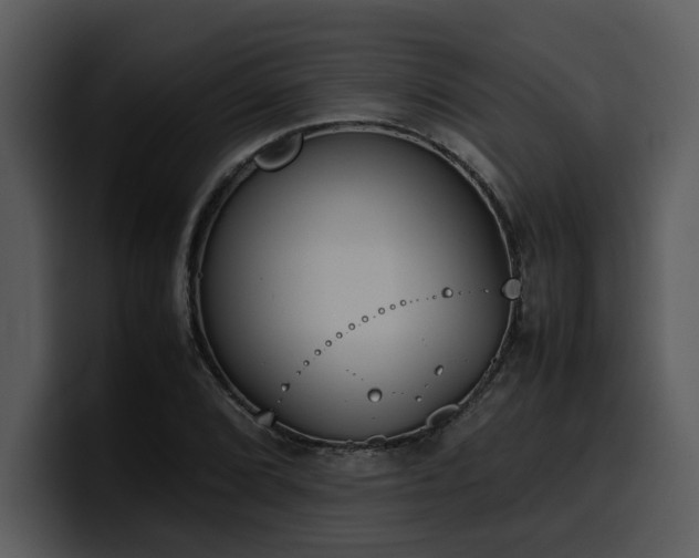 X0000100771072200806191236