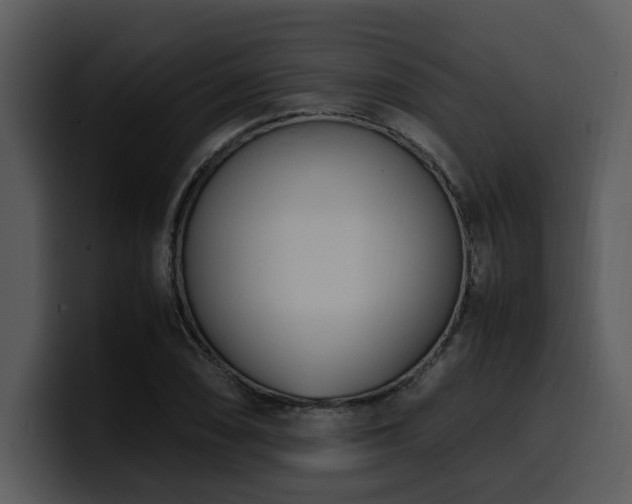 X0000100771074200806191236