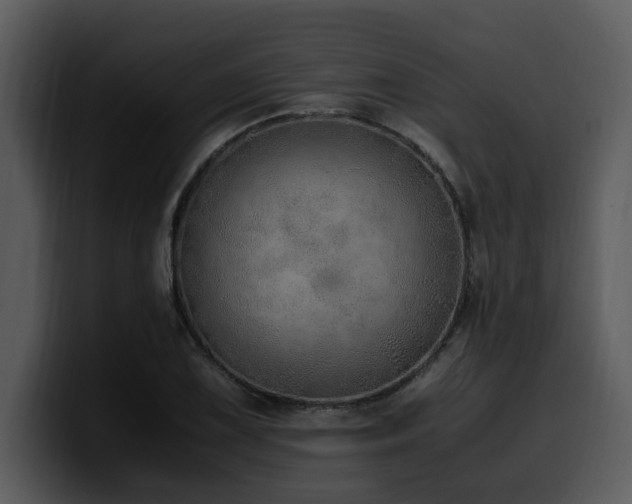 X0000100771075200806191236