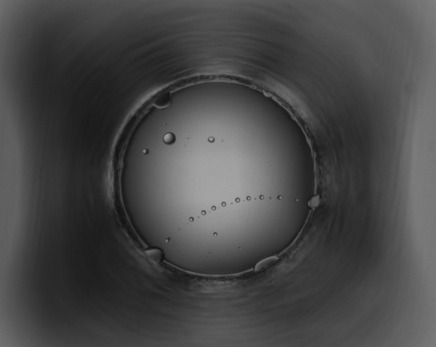 X0000100771076200806191236