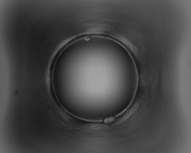X0000100771077200806191236