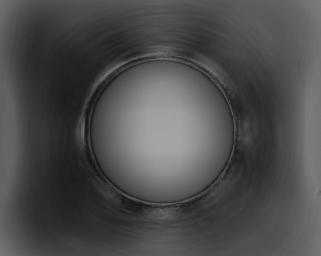 X0000100771078200806191236
