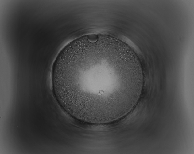 X0000100771079200806191236